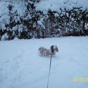 Meet your Posher, Tammy